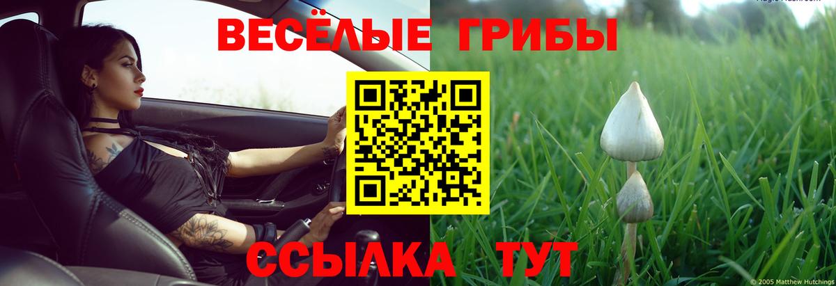 Галлюциногенные грибы мицелий Россия