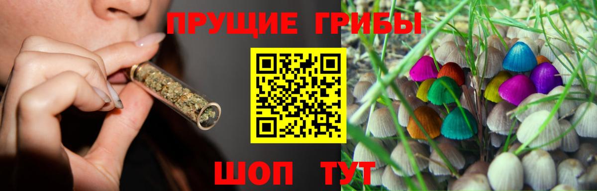 Россия  Галлюциногенные грибы прущие грибы  Вход с VPN 